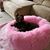 Jodi Hendricks's profile image