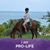 Lori Buehler's profile image
