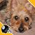 Maureen Karmonick's profile image