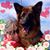 Jerianne Klein's profile image