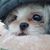 Tammy Workman's profile image