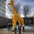 Jennifer Phillips Barger's profile image