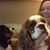 Shelley Kaiser's profile image