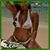 Kelli Davis's profile image
