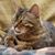 Michele Buss's profile image