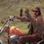 Greg S Dowdy's profile image