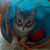 Patricia Boles's profile image