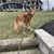 Kathy Baranowski's profile image