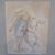 Jenny Seastrand Miller's profile image