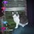 Ralph Bryant's profile image