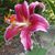 Jennifer Saucier Hartman's profile image