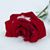 Sharon Wenrich Weakland's profile image