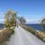 Carol Howden Miller's profile image