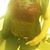 Flor Vivar's profile image