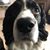 Stephanie Rissler's profile image