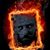 Mike Norris's profile image