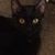 Barry Takacss's profile image