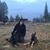 Krista Cates's profile image
