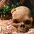 Laura J. Sipple's profile image
