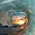 Debra Jenkins's profile image