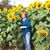 Karen Miller DiPaulo's profile image