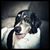 Jason Gorney's profile image