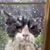 Monica McCloy's profile image