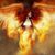 Linda Gammon's profile image