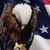 Brandon Tex Bay's profile image