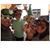 Mike Miller's profile image