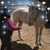 Cissy Clemence's profile image