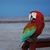Anna Schafer Edwards's profile image