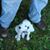 Brian Sneller's profile image