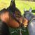 Tammy Philbin's profile image