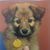 Jeanine Farrell's profile image