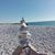 Adriana Susana Rodriguez's profile image