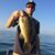 Kevin Lukens's profile image