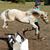 Joy Dombrowski's profile image