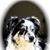 Diane Grant Johnson's profile image
