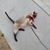 Tabitha Millwall Justice's profile image