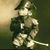Charles Svec's profile image