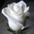 Debbie Grisham's profile image