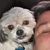 Ashley Estridge's profile image