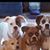 Marty Pinson's profile image