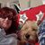Karenann Spender's profile image