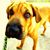 Luis Alicea's profile image