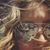 Stacey Ross's profile image