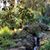 Beatrice Gorgoteanu's profile image