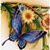Grace McColgan Di Rocco's profile image