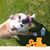 Cory Buttemeier's profile image